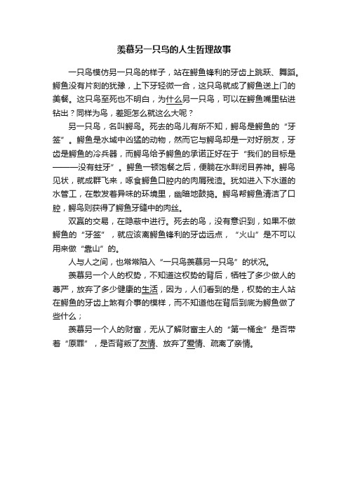 羡慕另一只鸟的人生哲理故事