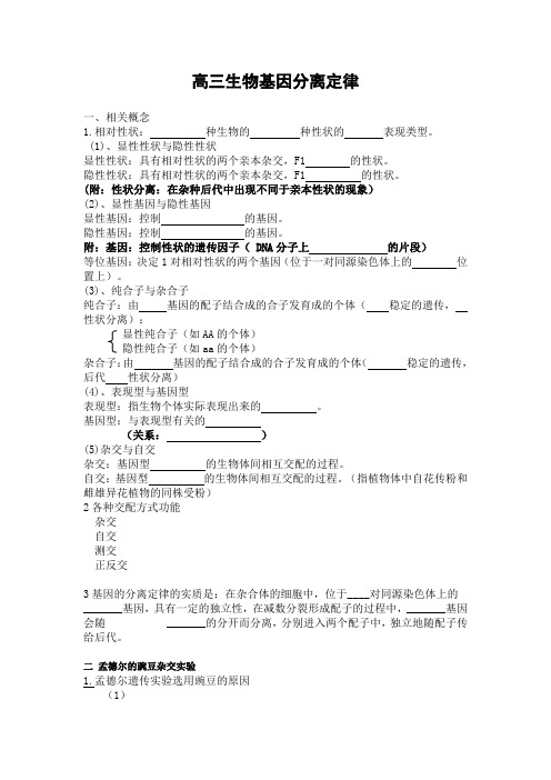 高三生物基因分离定律