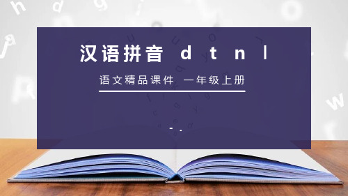 《dtnl》PPT课件