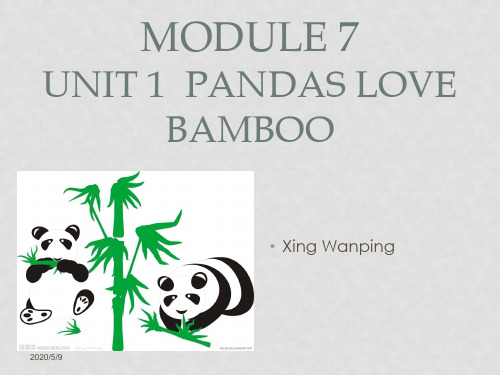 六年级英语上册 Module 7 Unit 1 Pandas love bamboo课件3 外研版(一起)