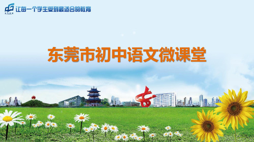 中考语文《说明文—解决问题》(二)幻灯片课件