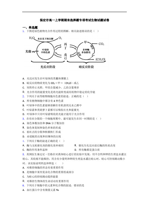 保定市高一上学期期末选择题专项考试生物试题试卷