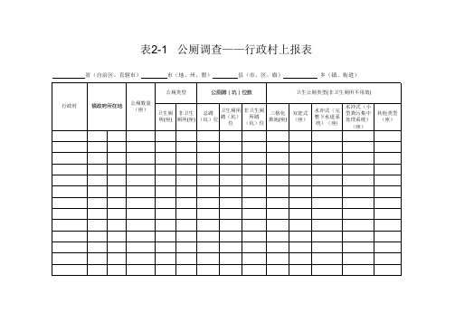 表2-1公厕调查——行政村上报表