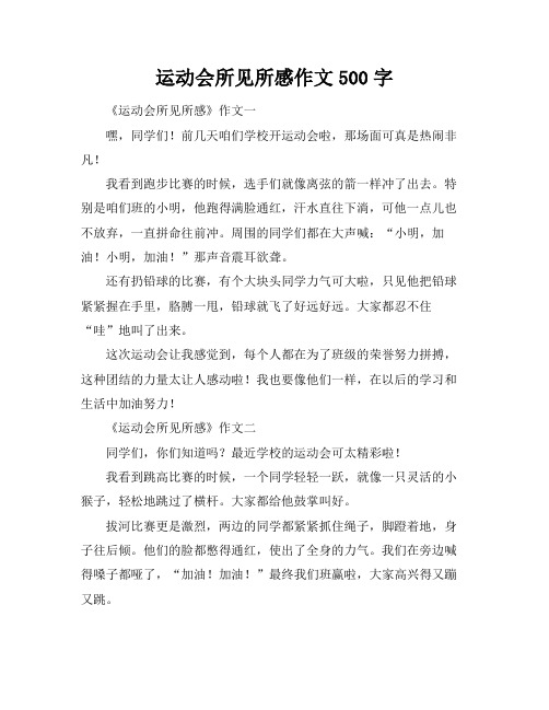 运动会所见所感作文500字