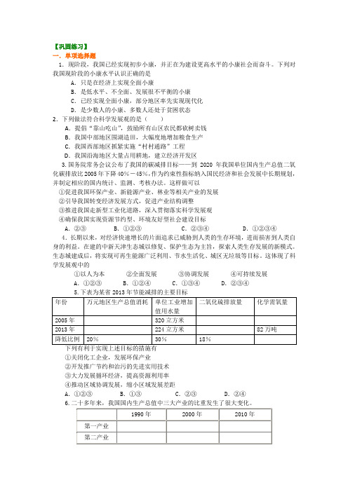 巩固练习_科学发展观与小康社会的经济建设