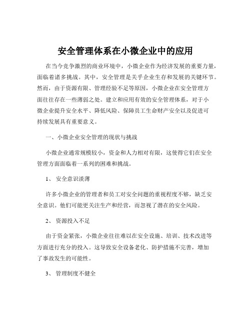 安全管理体系在小微企业中的应用