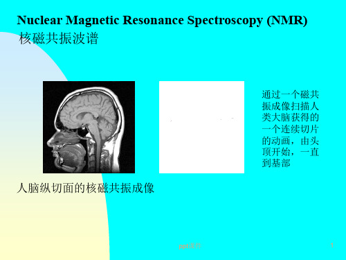 核磁共振波谱  ppt课件