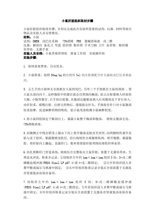 小鼠肝脏取材步骤