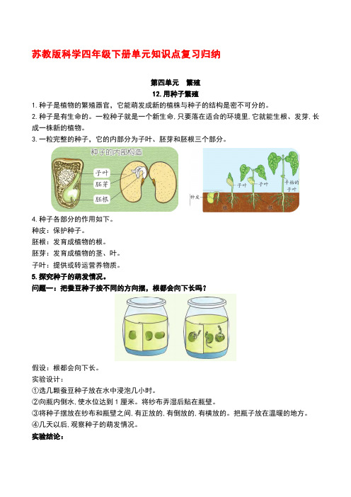 新苏教版科学四年级下册第四单元《繁殖》知识点整理