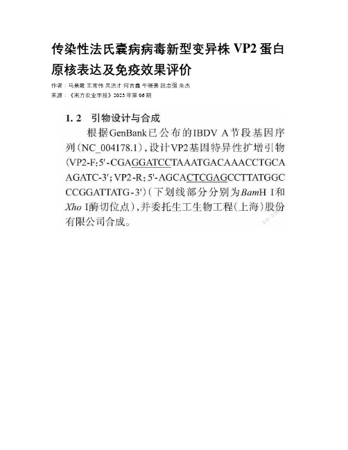 传染性法氏囊病病毒新型变异株VP2蛋白原核表达及免疫效果评价