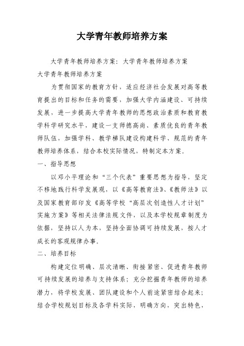 大学青年教师培养方案