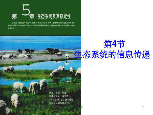 人教版教学课件54《生态系统的信息传递》课件新人教版-必修