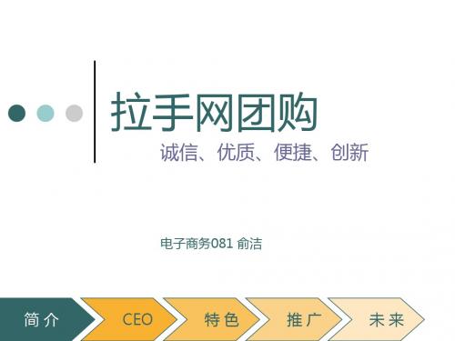 针对某一团购网站的分析——拉手网团购