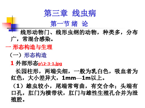 第二篇  动物蠕虫病学-线虫