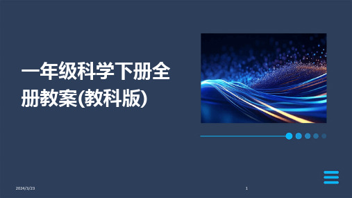 2024年度一年级科学下册全册教案(教科版)