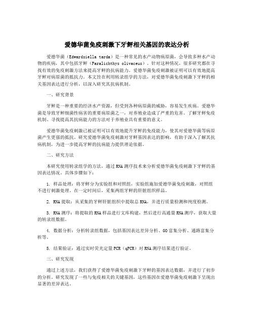 爱德华菌免疫刺激下牙鲆相关基因的表达分析