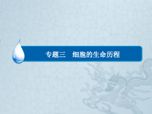 高考生物二轮复习名师指导课件 细胞的增殖和受精作用