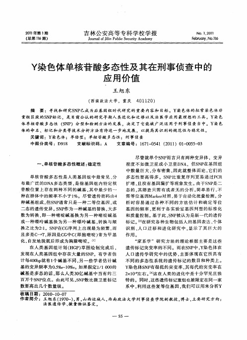 Y染色体单核苷酸多态性及其在刑事侦查中的应用价值