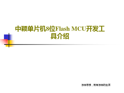 中颖单片机8位Flash MCU开发工具介绍共34页文档