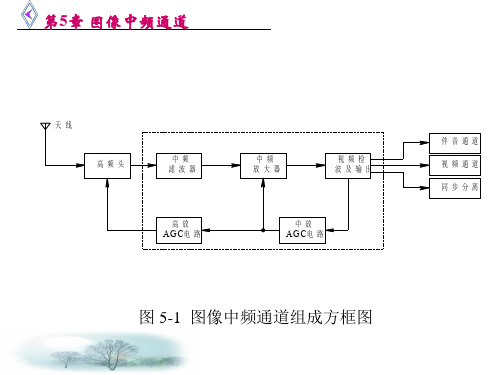 电视原理PPT5.ppt