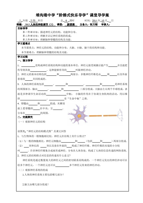 16.1人体的神经调节(1)