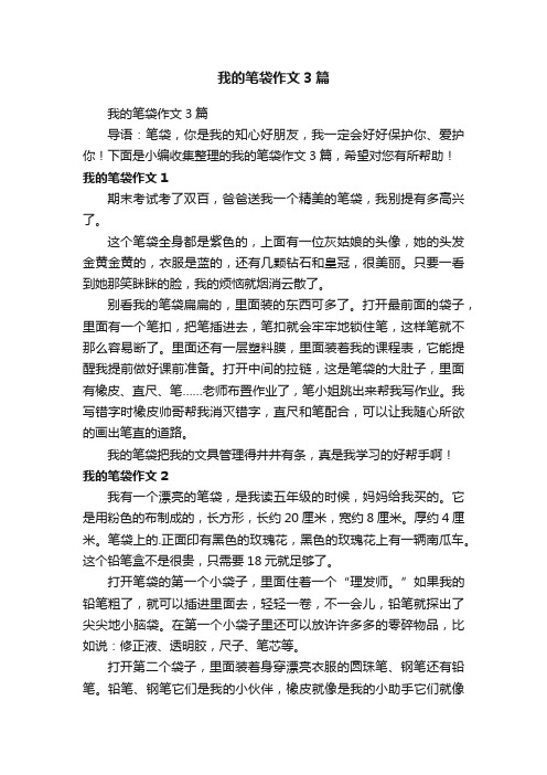 我的笔袋作文3篇