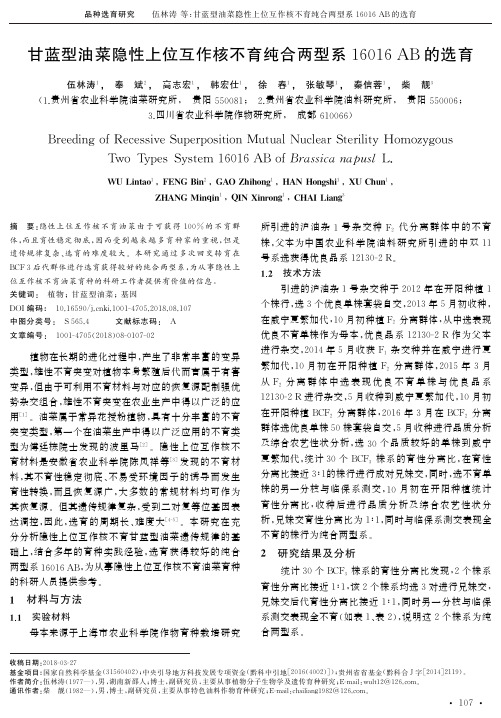 甘蓝型油菜隐性上位互作核不育纯合两型系16016 AB的选育