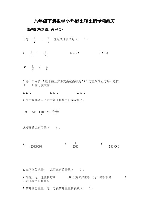 六年级下册数学小升初比和比例专项练习A4版可打印