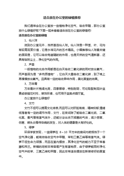 适合放在办公室的绿植推荐