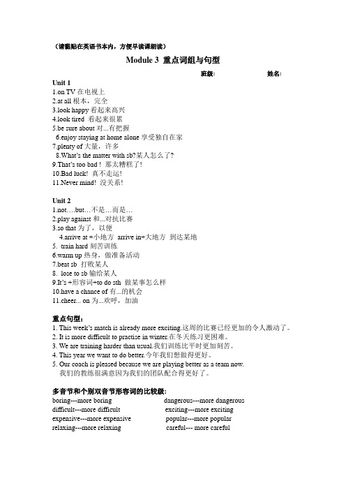 新版外研社八年级上册Module 3--4 重点词组与句型