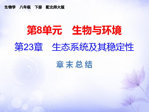 生物八年级下北师大版第23章生态系统及其稳定性复习课件(20张)