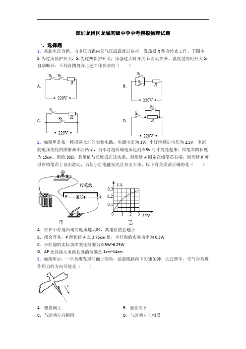 深圳龙岗区龙城初级中学中考模拟物理试题