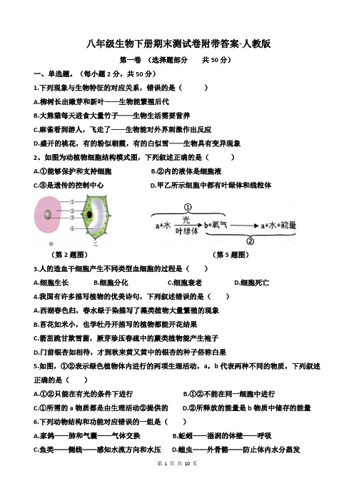 八年级生物下册期末测试卷附带答案-人教版