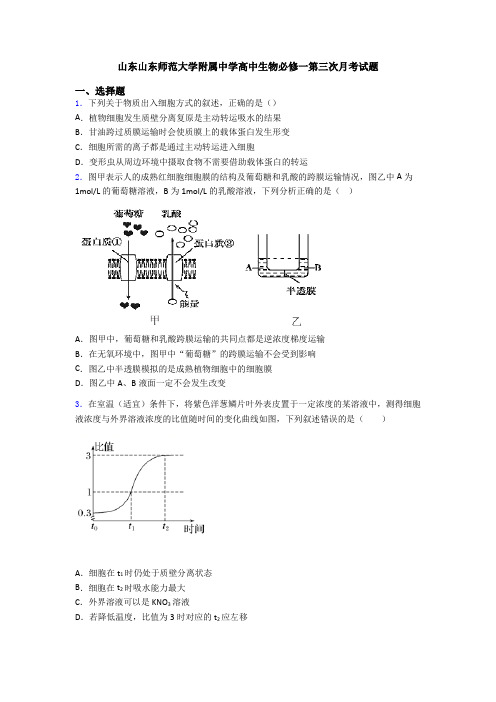 山东山东师范大学附属中学高中生物必修一第三次月考试题