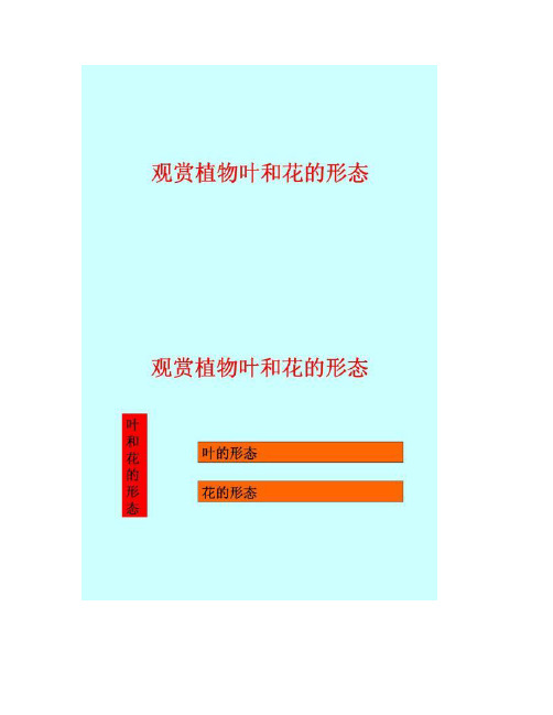 观赏园艺学3-叶和花的形态_图文(精)