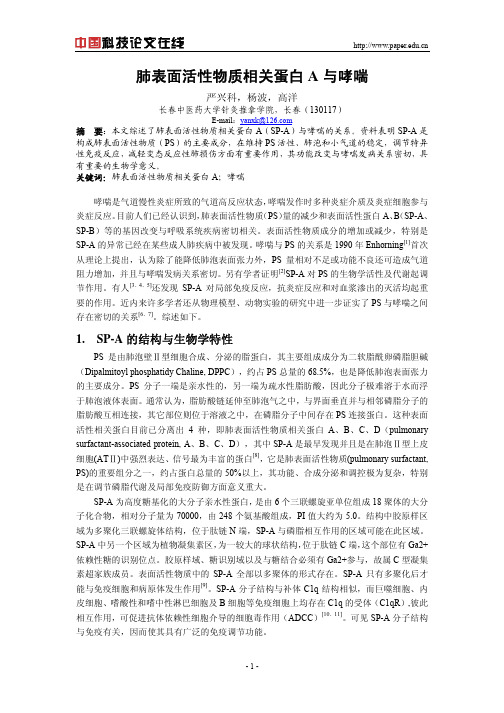 肺表面活性物质相关蛋白A与哮喘