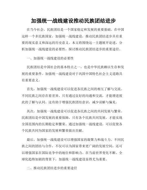 加强统一战线建设推动民族团结进步