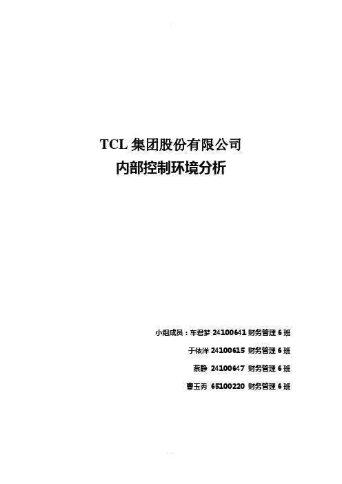 TCL内控环境分析