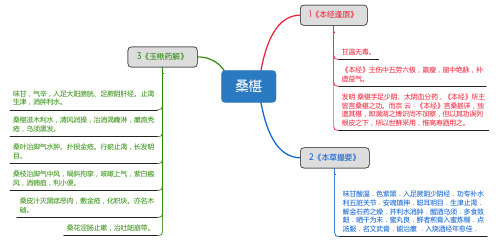 桑椹_思维导图_中药学_药材来源详解