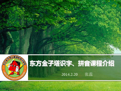 识字拼音介绍-终