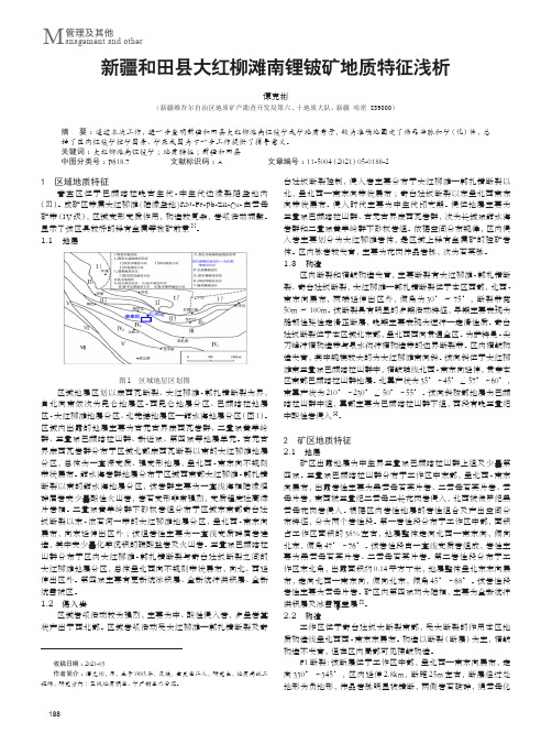 新疆和田县大红柳滩南锂铍矿地质特征浅析