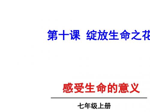 感受生命的意义ppt优秀课件7 人教版