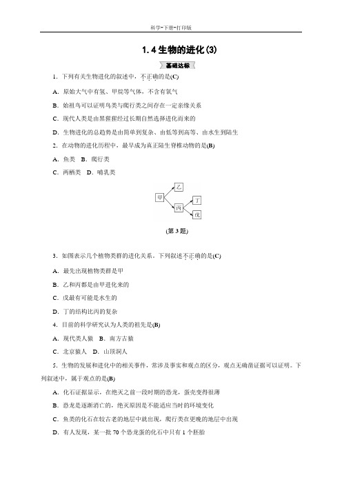 浙教版-科学-九年级下册-科学九年级下册1.4生物的进化(3) 同步测试