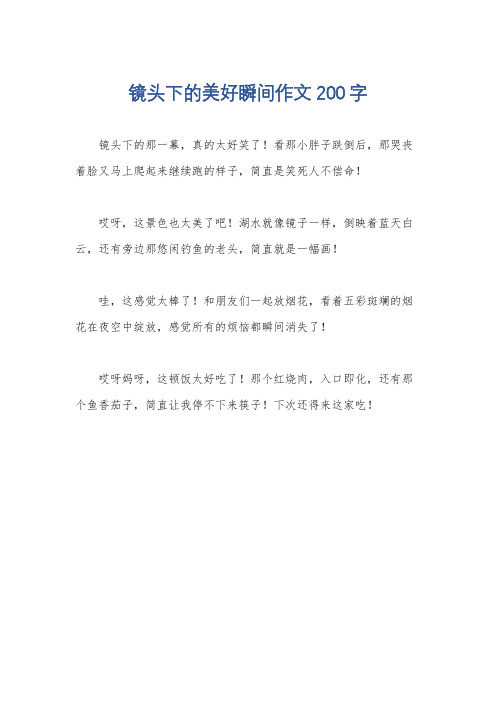 镜头下的美好瞬间作文200字