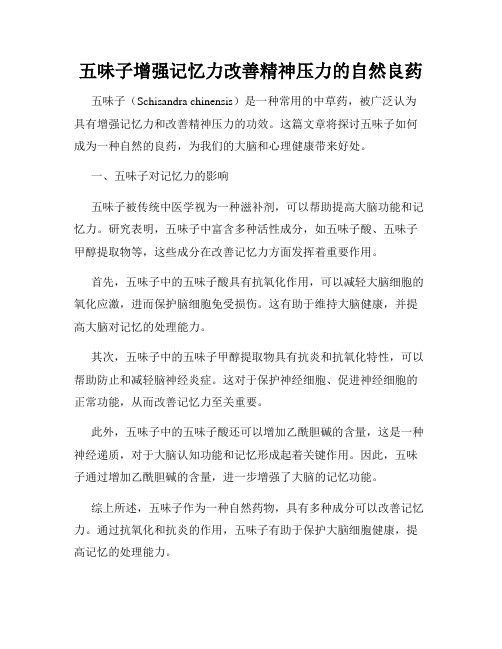 五味子增强记忆力改善精神压力的自然良药