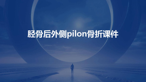 胫骨后外侧pilon骨折课件