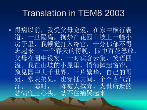 Translation in TEM8 2003