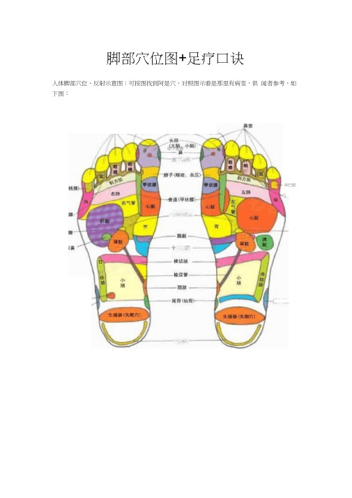 脚部穴位图足疗口诀归纳