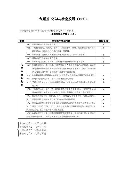 人教版九年级化学学业水平考试复习与备考专题五 化学与社会发展(知识点)