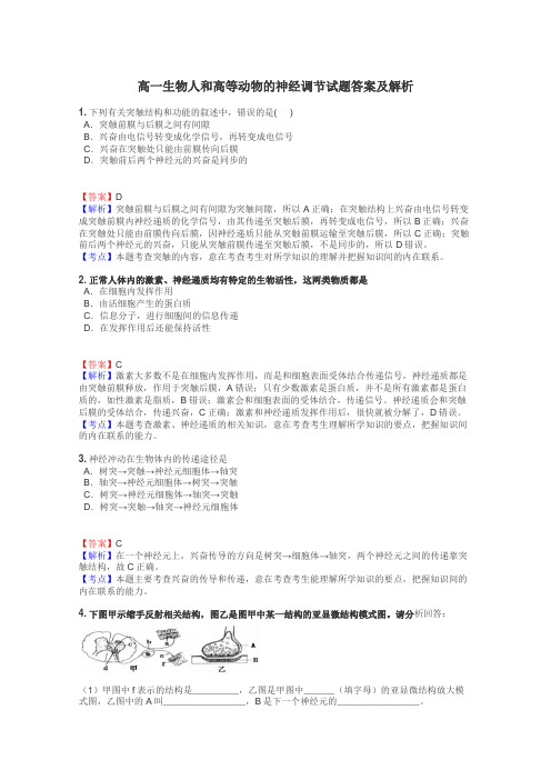 高一生物人和高等动物的神经调节试题答案及解析
